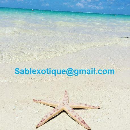 Sablexotique Apartment Pointe D'Esny Luaran gambar